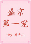 盛京第一寵小說封面