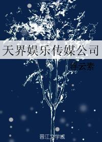 天界娛樂傳媒公司小說TXT封面