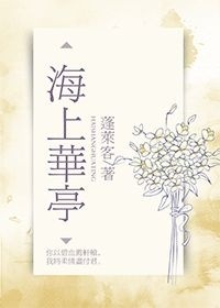 海上華亭小说封面